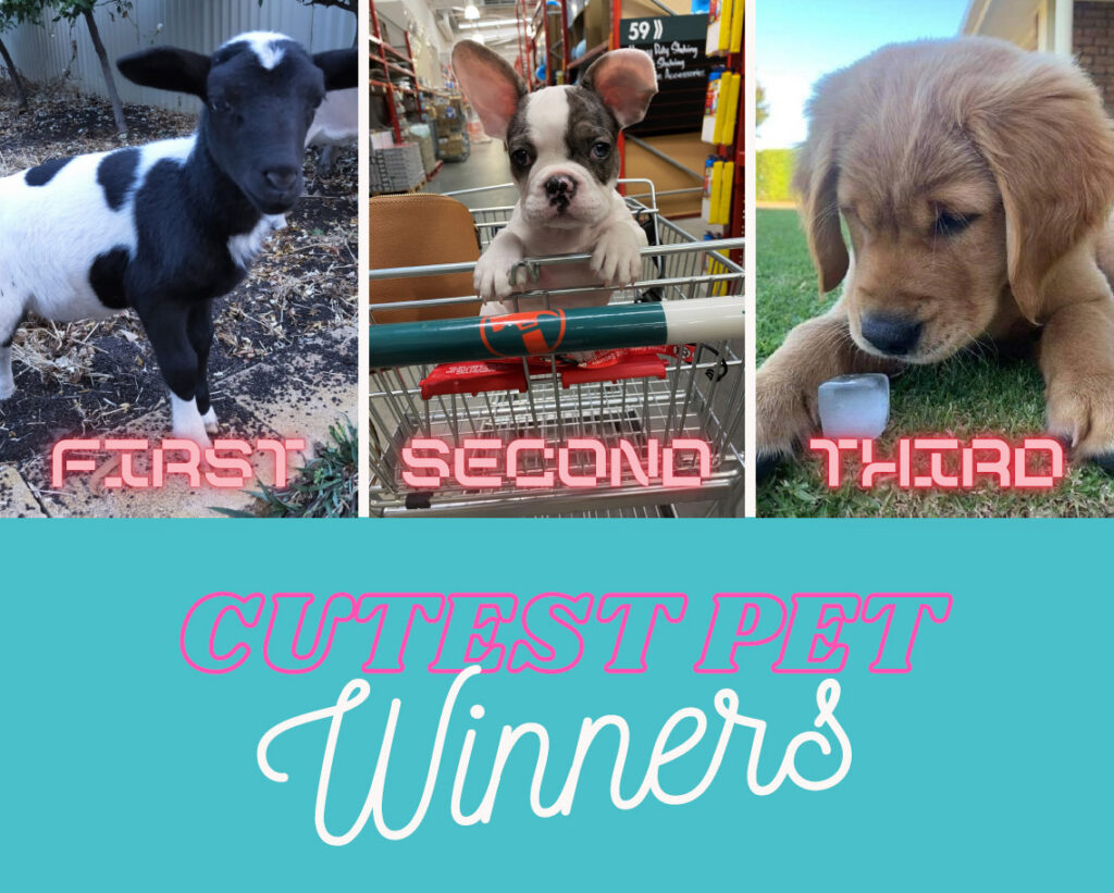 Cutest Pet Competition Winners